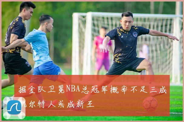 掘金队卫冕NBA总冠军概率不足三成凯尔特人或成新王