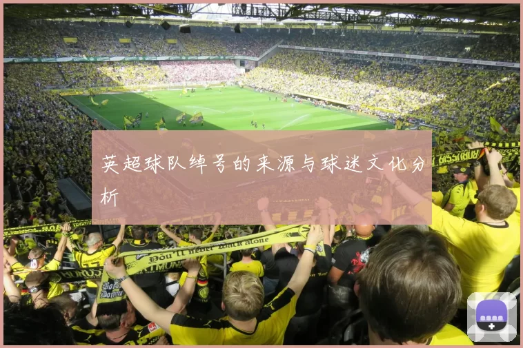 英超球队绰号的来源与球迷文化分析