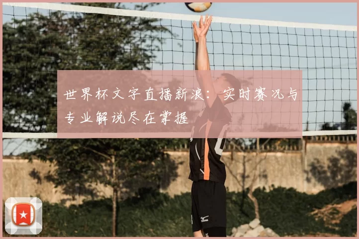 世界杯文字直播新浪:实时赛况与专业解说尽在掌握