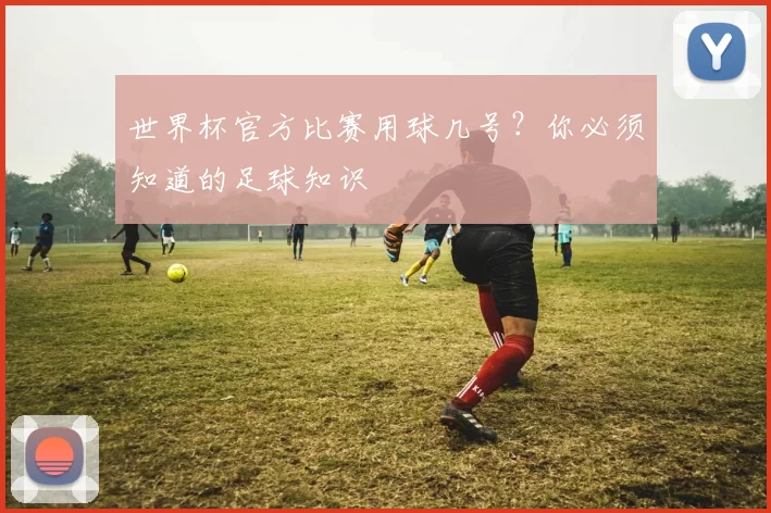 世界杯官方比赛用球几号？你必须知道的足球知识