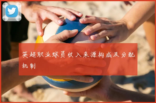 英超职业球员收入来源构成及分配机制