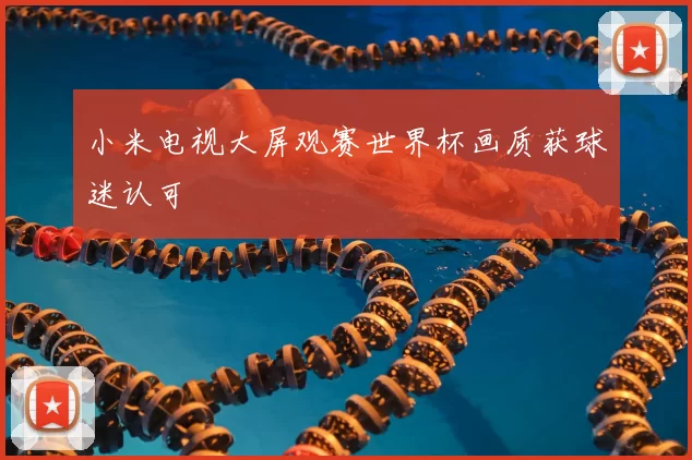 小米电视大屏观赛世界杯画质获球迷认可