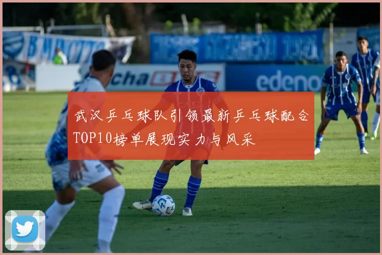 武汉乒乓球队引领最新乒乓球配合TOP10榜单展现实力与风采