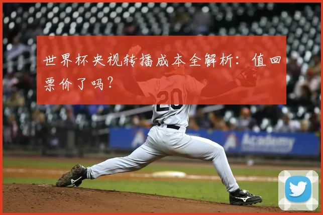 世界杯央视转播成本全解析:值回票价了吗?