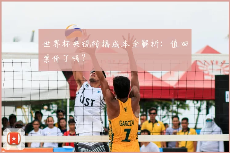世界杯央视转播成本全解析:值回票价了吗?