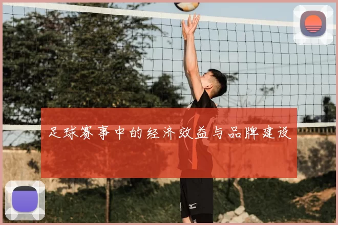 足球赛事中的经济效益与品牌建设