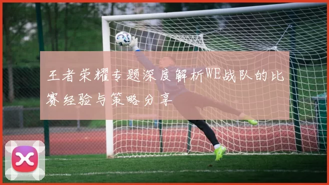 王者荣耀专题深度解析WE战队的比赛经验与策略分享