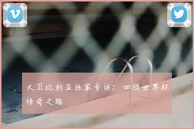 大卫比利亚独家专访：回顾世界杯传奇之路