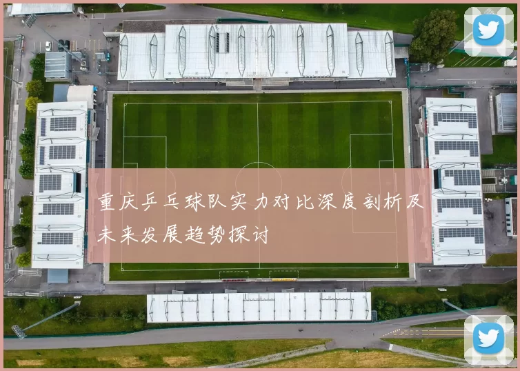 重庆乒乓球队实力对比深度剖析及未来发展趋势探讨