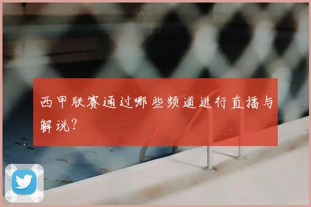 西甲联赛通过哪些频道进行直播与解说?