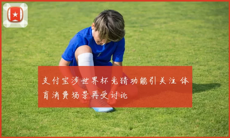 支付宝涉世界杯竞猜功能引关注 体育消费场景再受讨论